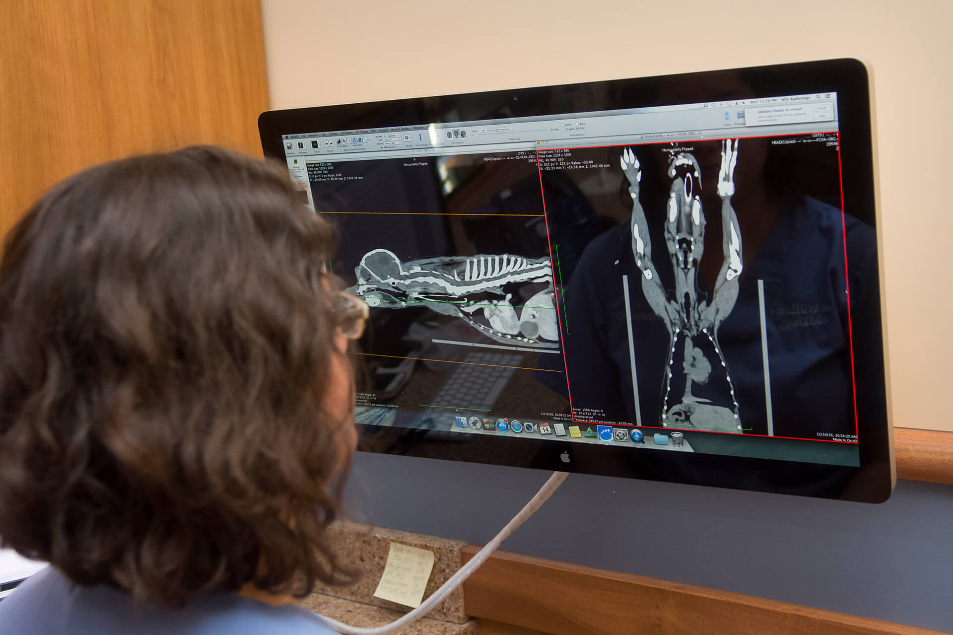 Veterinary Radiographer Veterinary Radiology NJ - NorthStar VETS